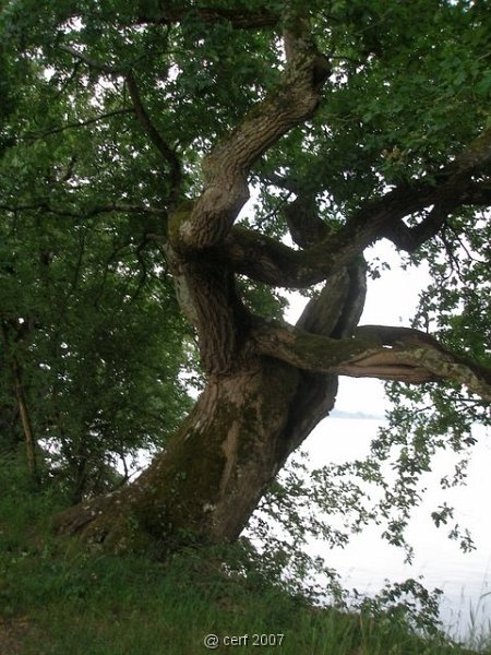 2007 05 Séjour en Brenne 037